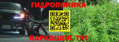 марихуана Кохма