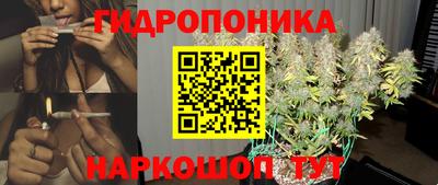 МДПВ Пугачёв